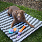 Outdoor Dog Bed product image 2