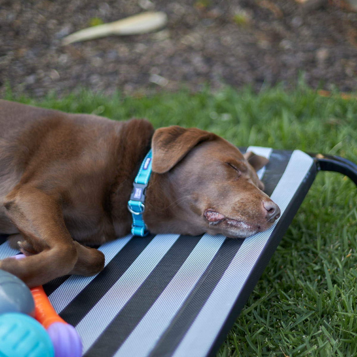 Outdoor Dog Bed product image 6