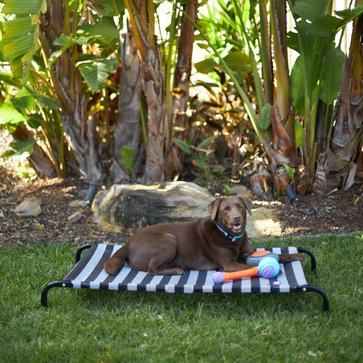 Outdoor Dog Bed product image 8
