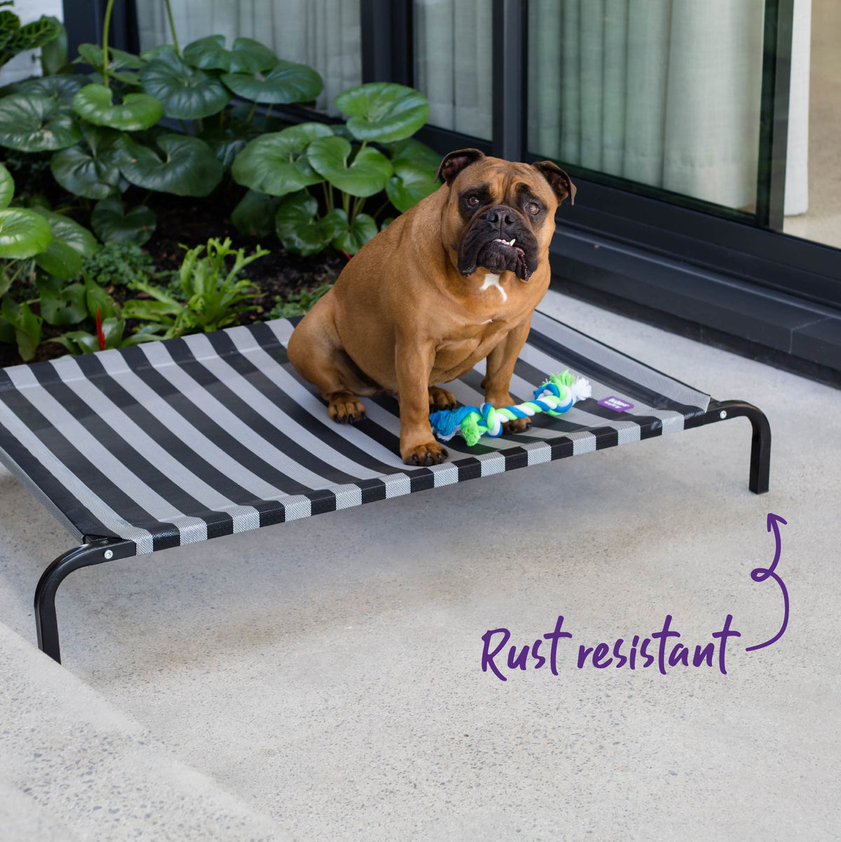 Outdoor Dog Bed product image 9