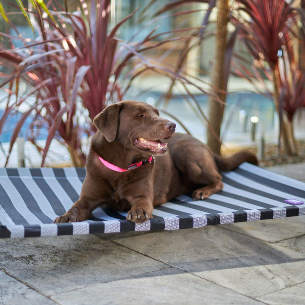 Outdoor Dog Bed product image 10