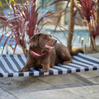 Outdoor Dog Bed product image 10