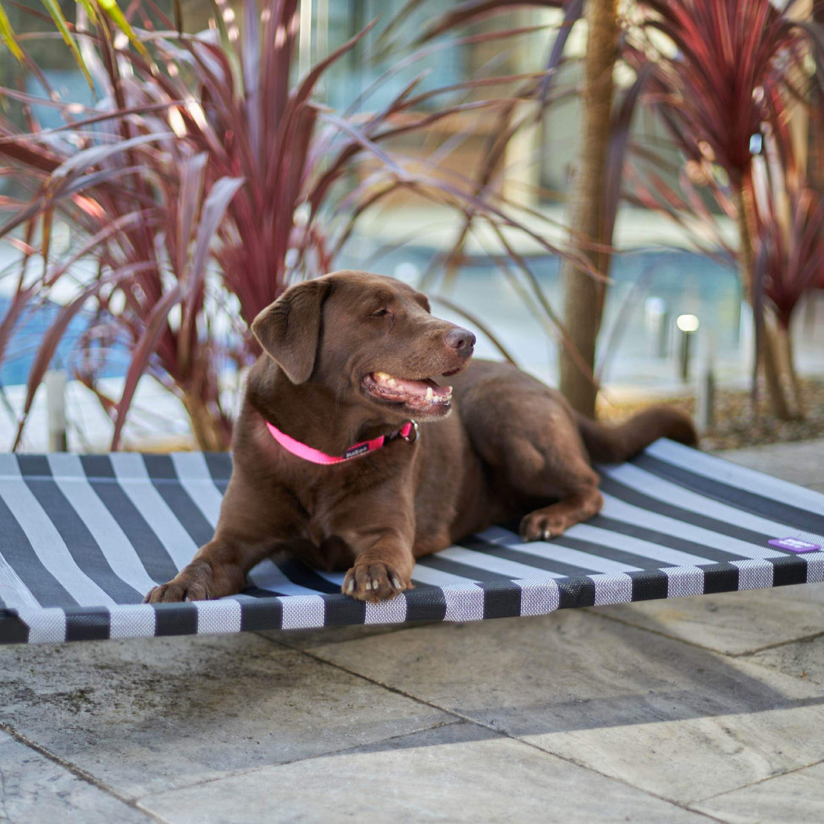 Outdoor Dog Bed product image 10