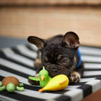 Outdoor Dog Bed product image 13