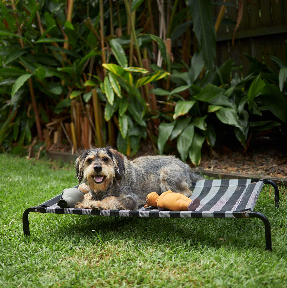 Outdoor Dog Bed product image 15