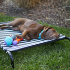 Outdoor Dog Bed product image 16