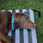 Outdoor Dog Bed product image 18