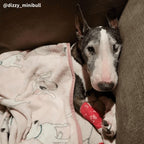 Dog Fleece Blanket product image 1