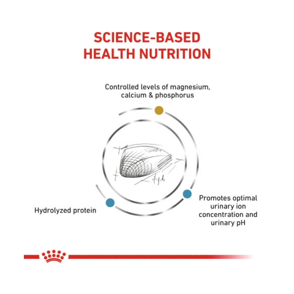 Royal Canin Veterinary Diet - Urinary SO + Hydrolyzed Protein Dry Cat Food-Southern Agriculture