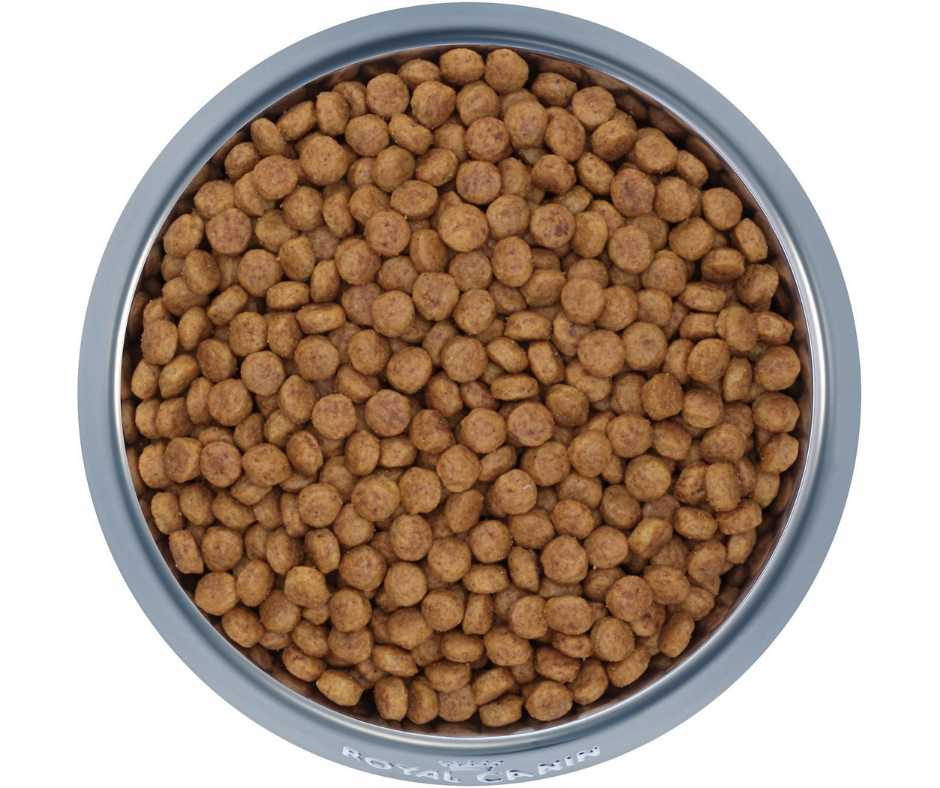 Dry Dog Food product image 3