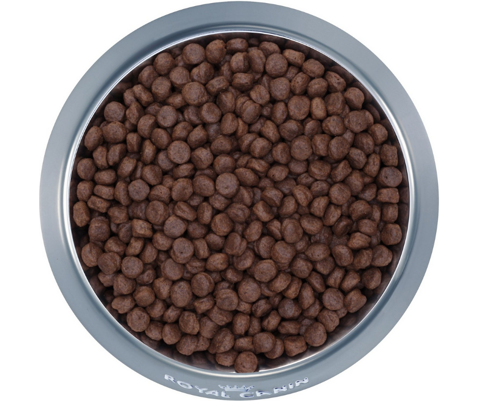 Dry Dog Food product image 3
