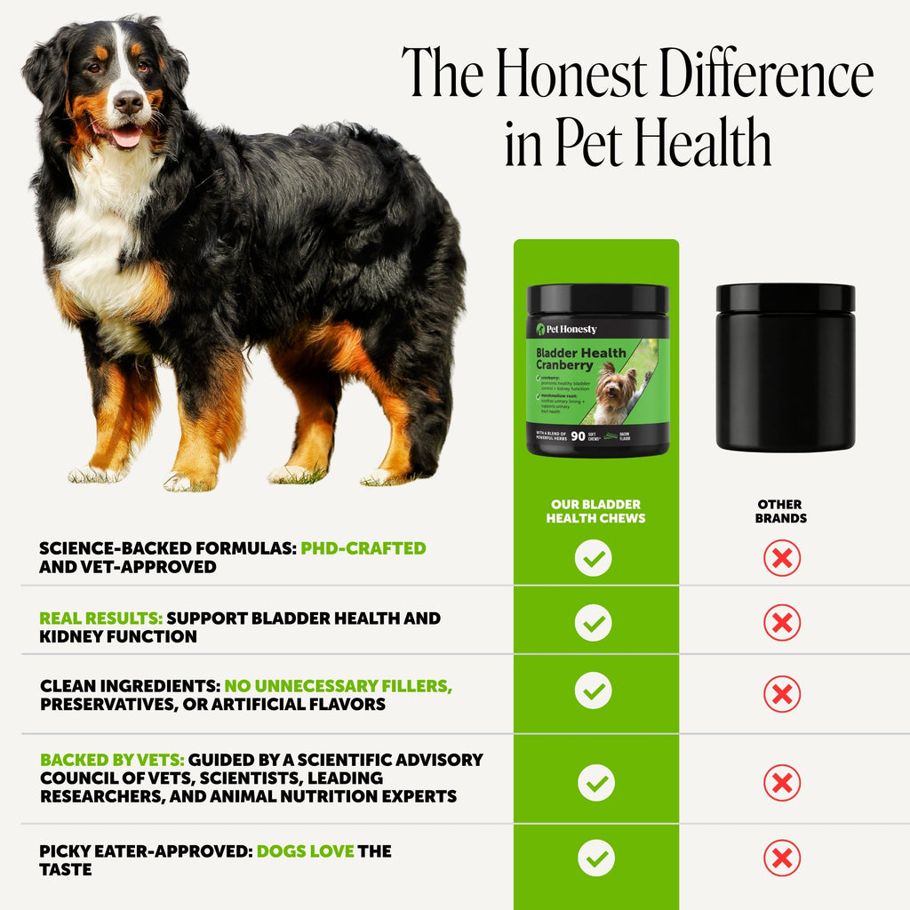 Dog Urinary Supplement product image 5
