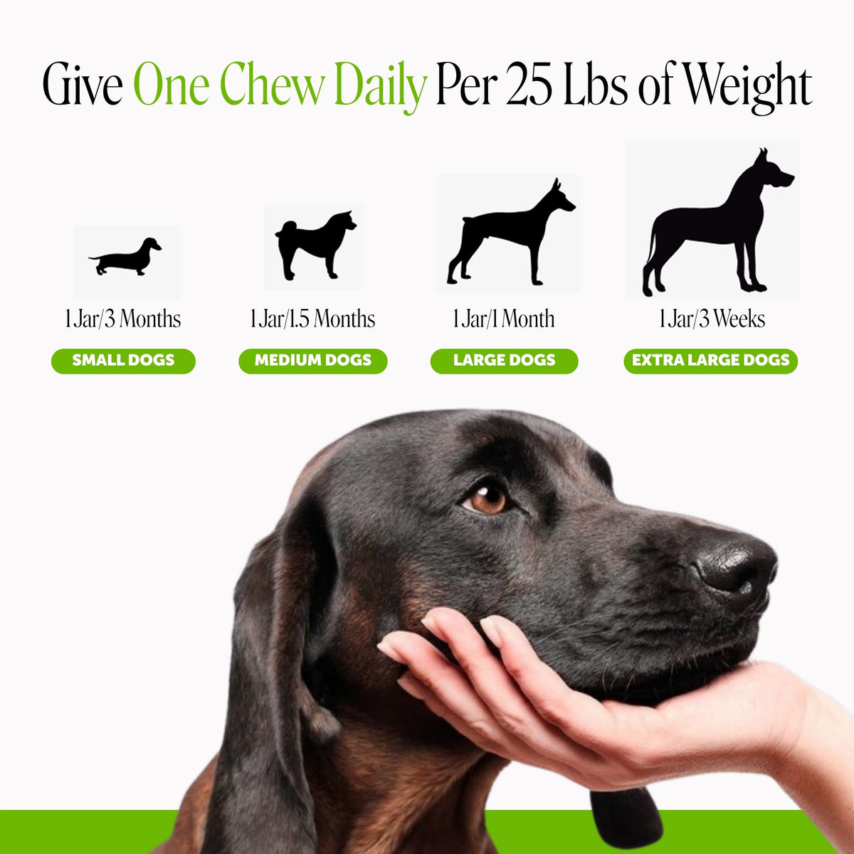 Dog Urinary Supplement product image 6