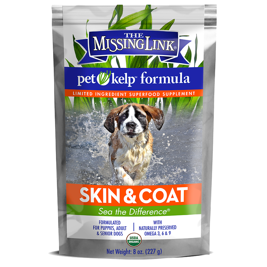 Dog Skin and Coat Supplement product image 1