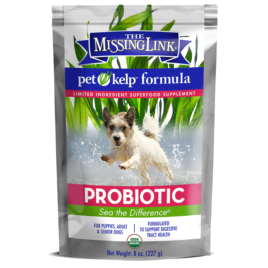 Dog Probiotic Supplement product image 1
