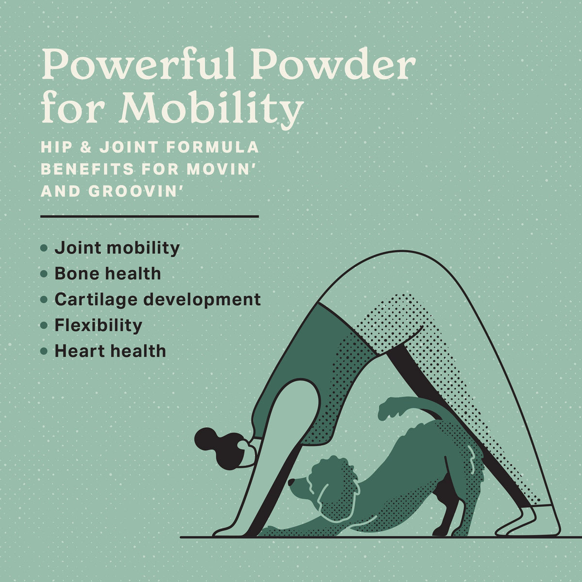 Dog Joint Supplement Powder product image 4