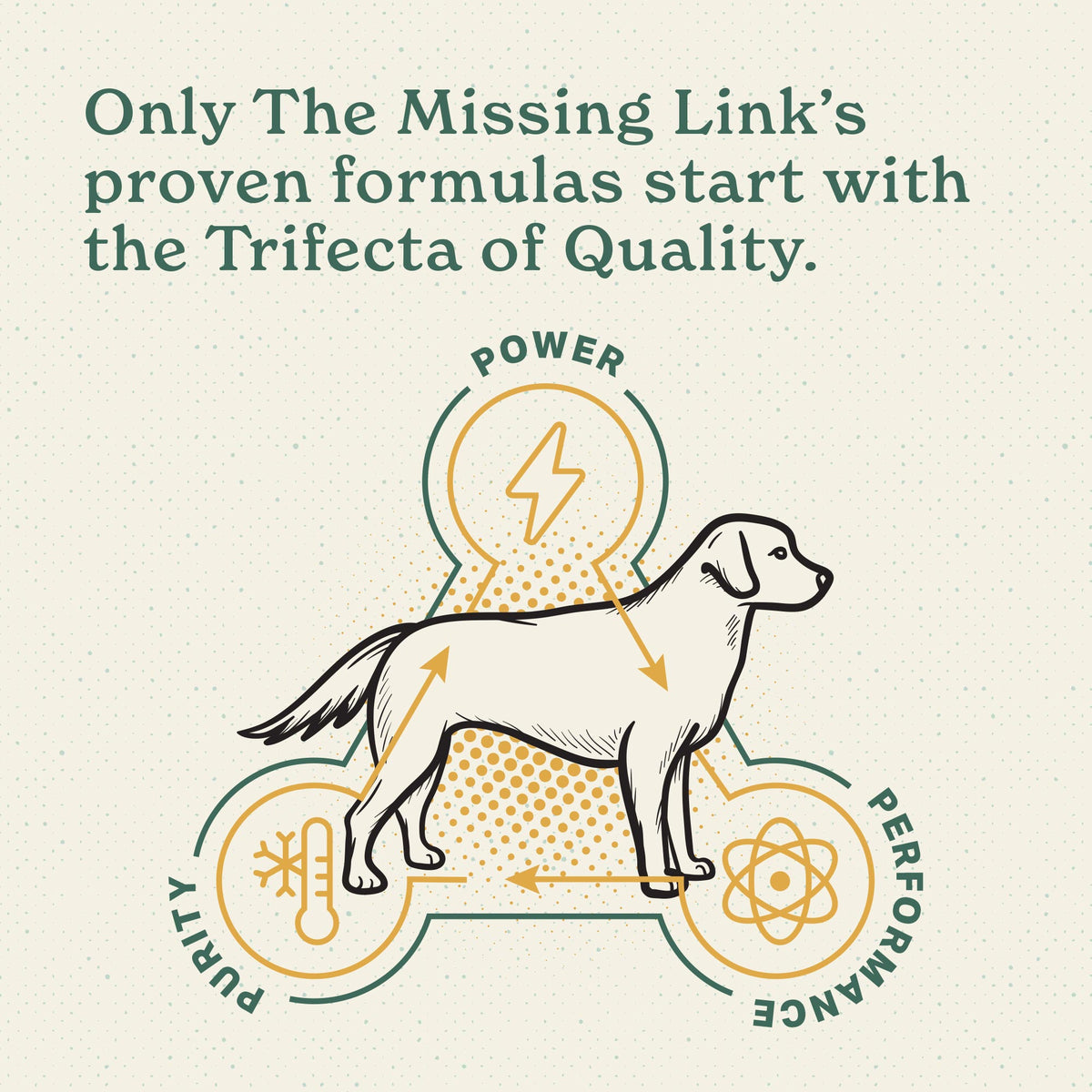 Dog Joint Supplement Powder product image 10