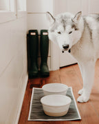 Dog Bowl product image 5