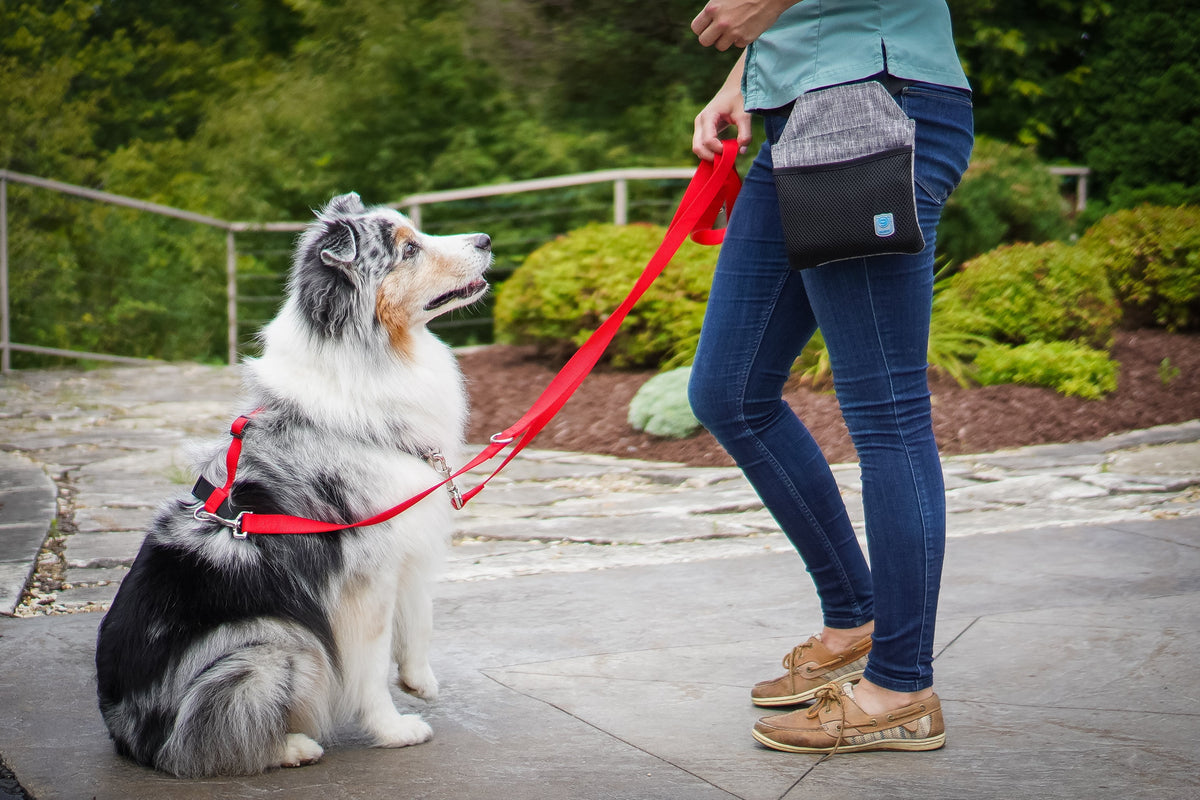 Multi-Function Dog Leash product image 11