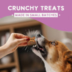 Salmon Dog Treats product image 4