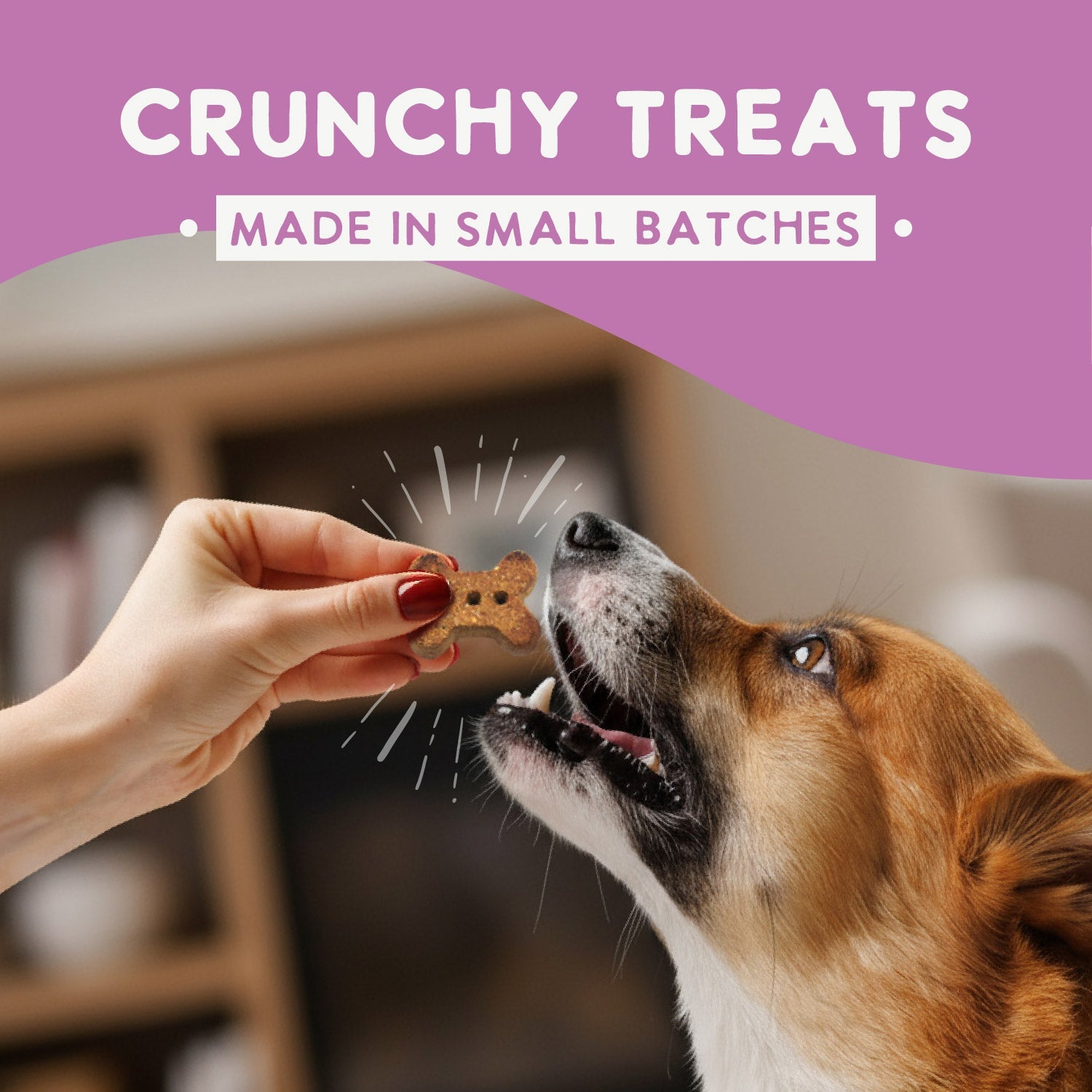 Dog Treats product image 4