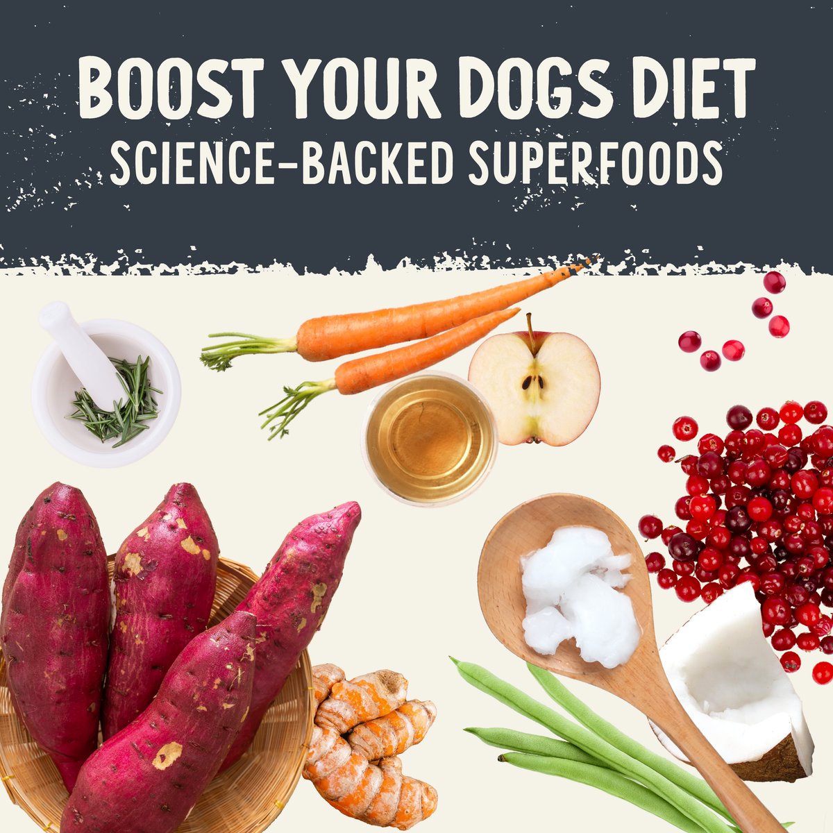 Freeze-Dried Dog Food Topper product image 6