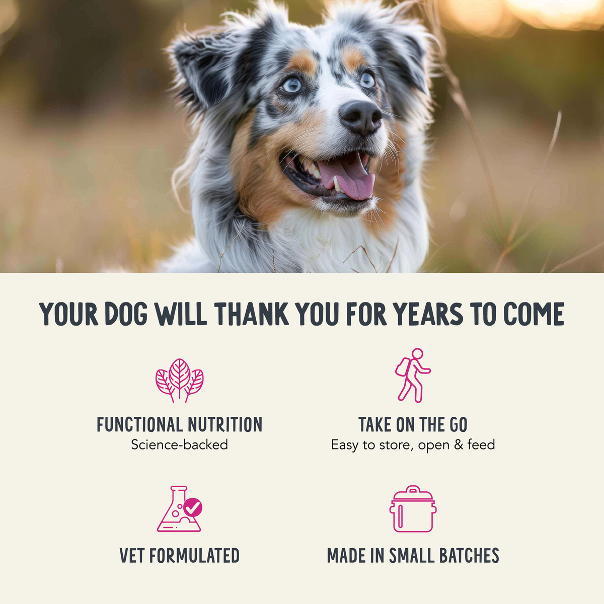 Dog Food Topper product image 7