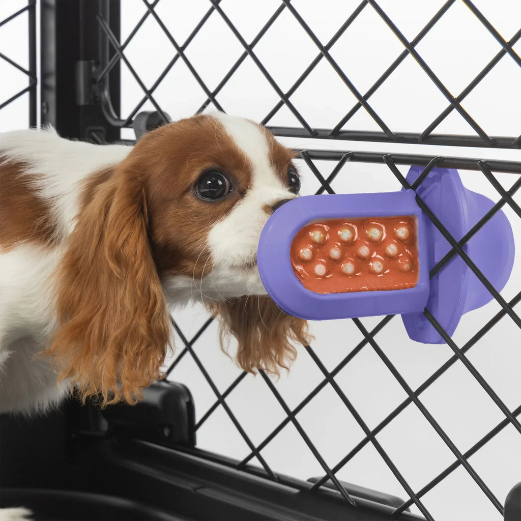 A dog licking a Lavender Groov Training Aid attached to a black dog crate