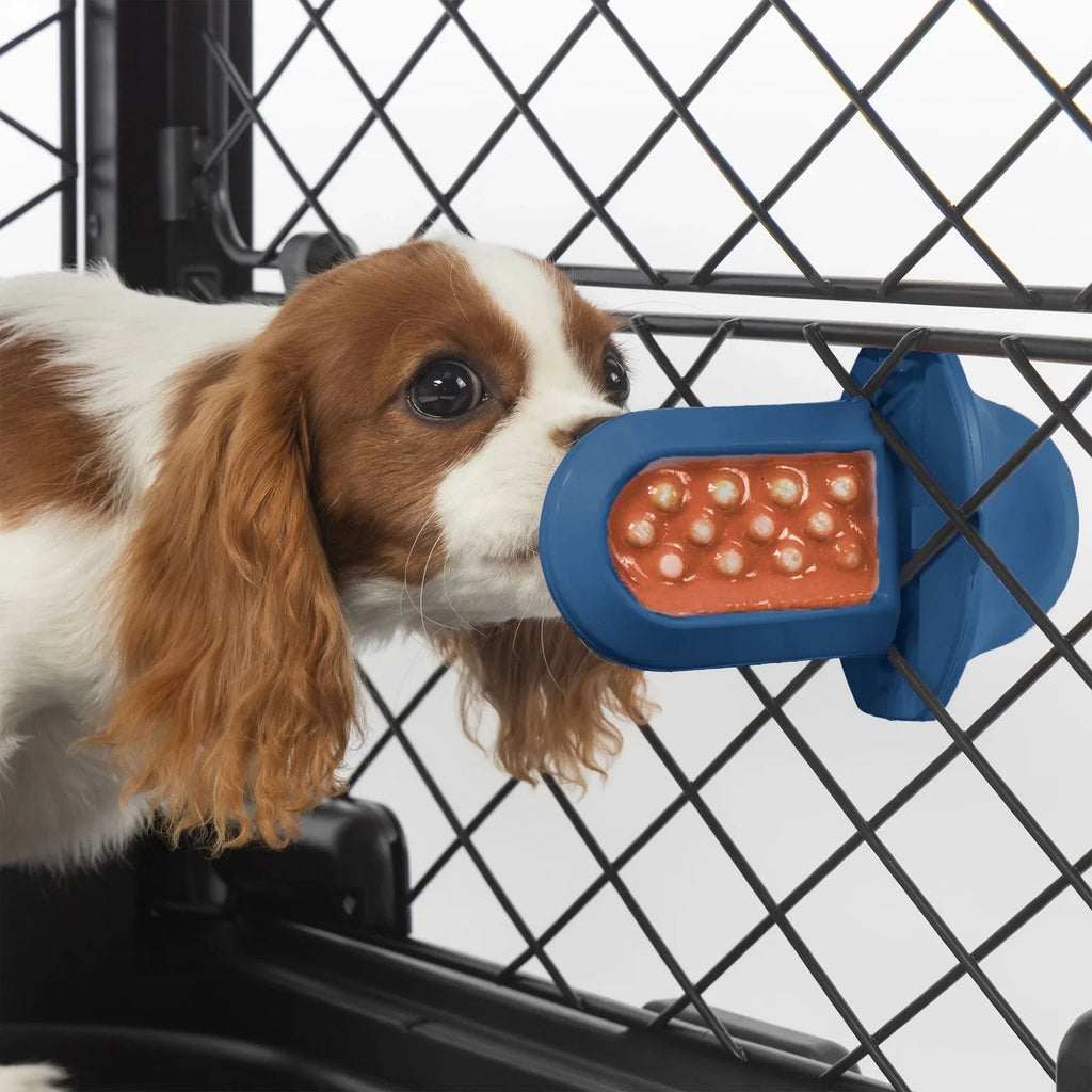 A dog licking a royal blue Groov Training Aid attached to a black dog crate