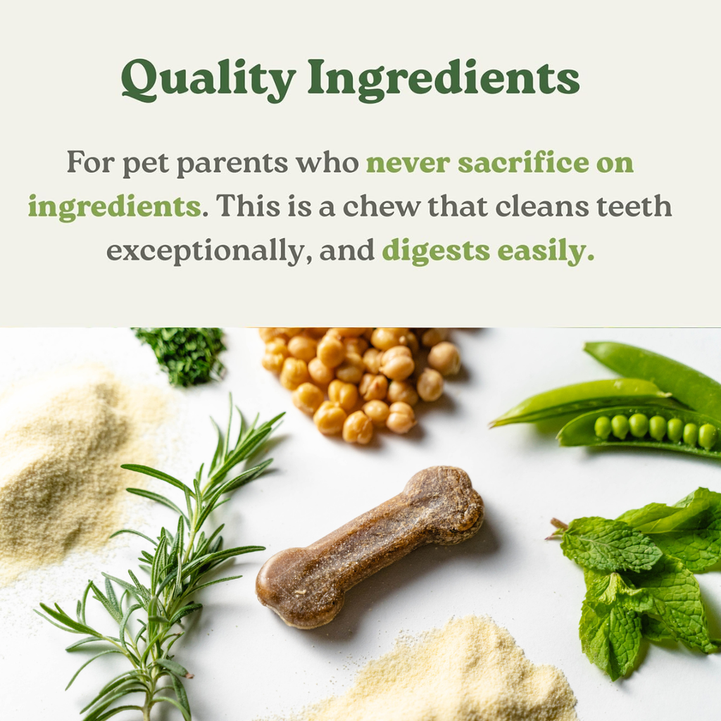 Dog Dental Chews product image 3