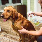 Flea Tick Spray product image 3