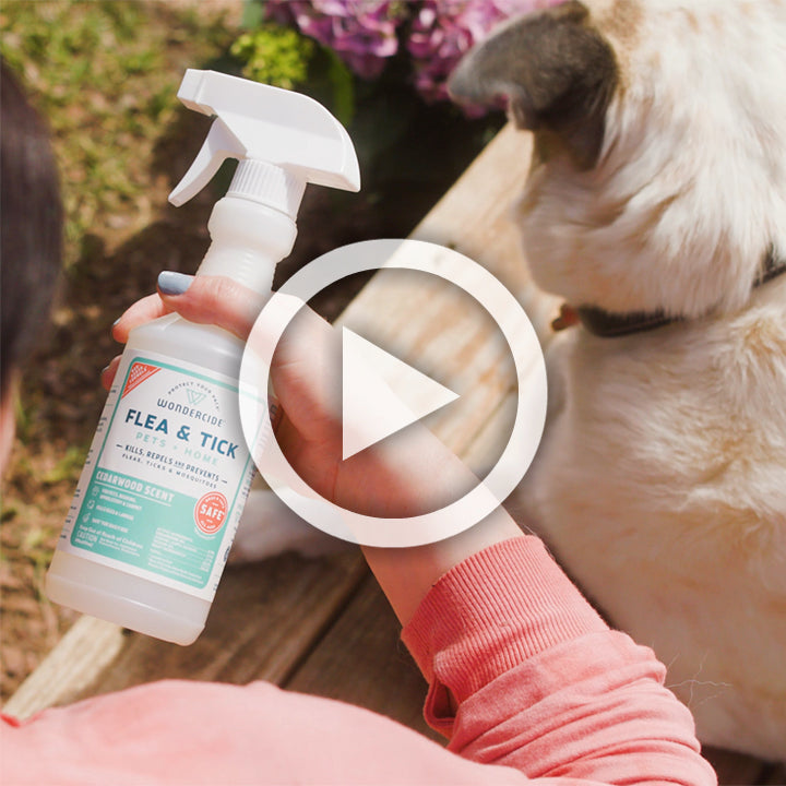 Flea Tick Spray product image 4
