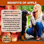 Sweet Potato Dog Treats product image 3