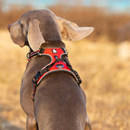Dog Harness product image 15