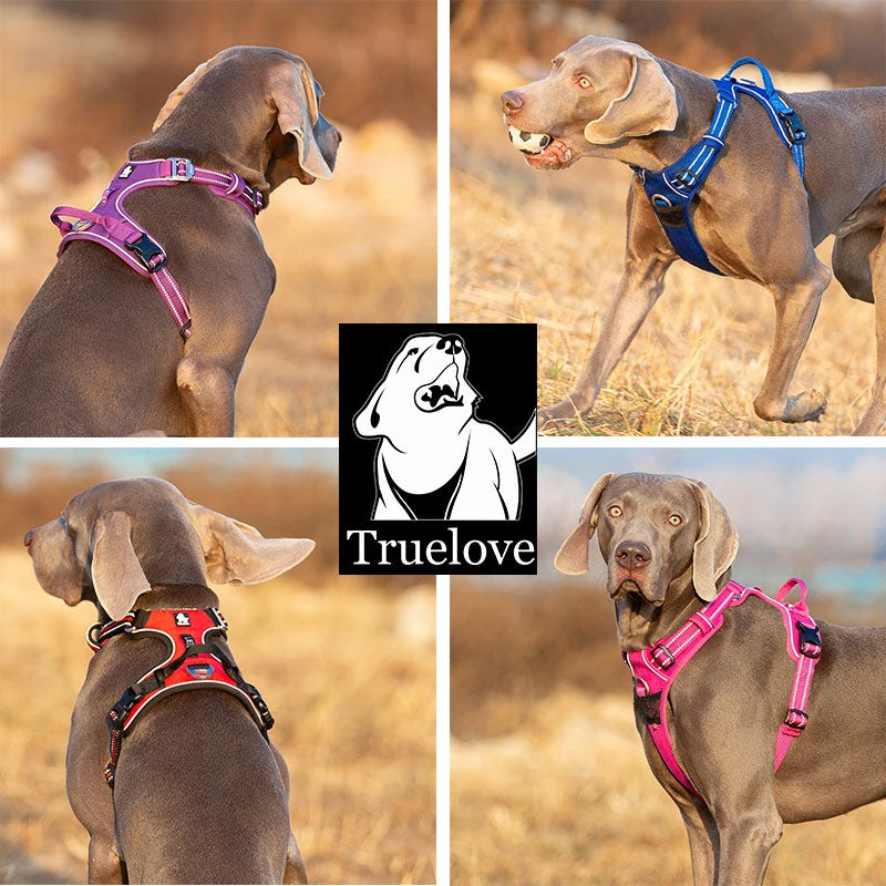 Dog Harness product image 16