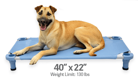 Elevated Pet Bed product image 1