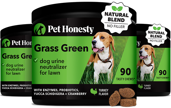 Dog Supplement Chews product image 1
