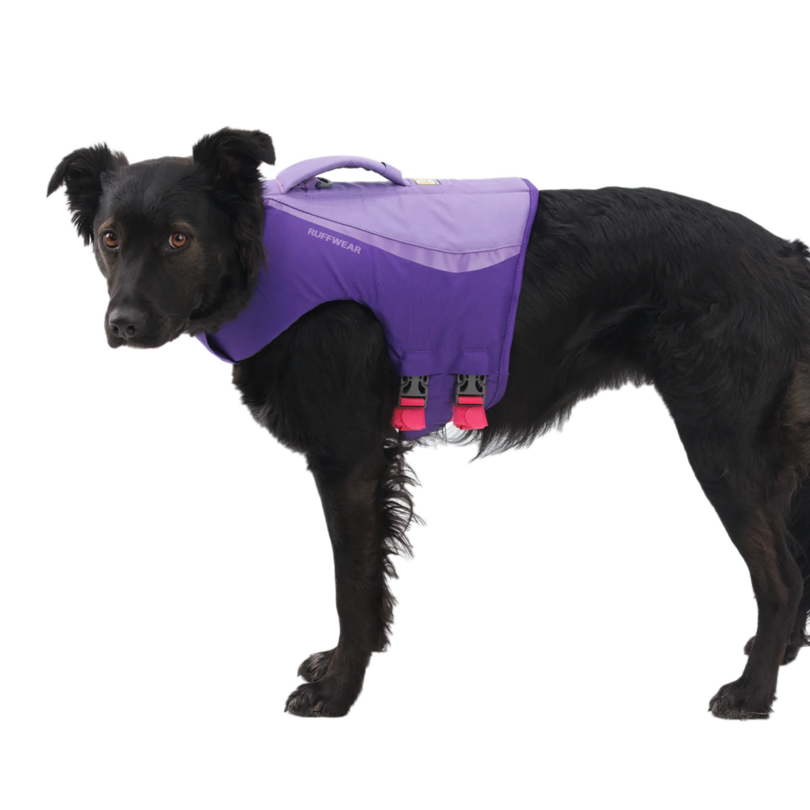 Float Coat™ Dog Life Jacket product image 8