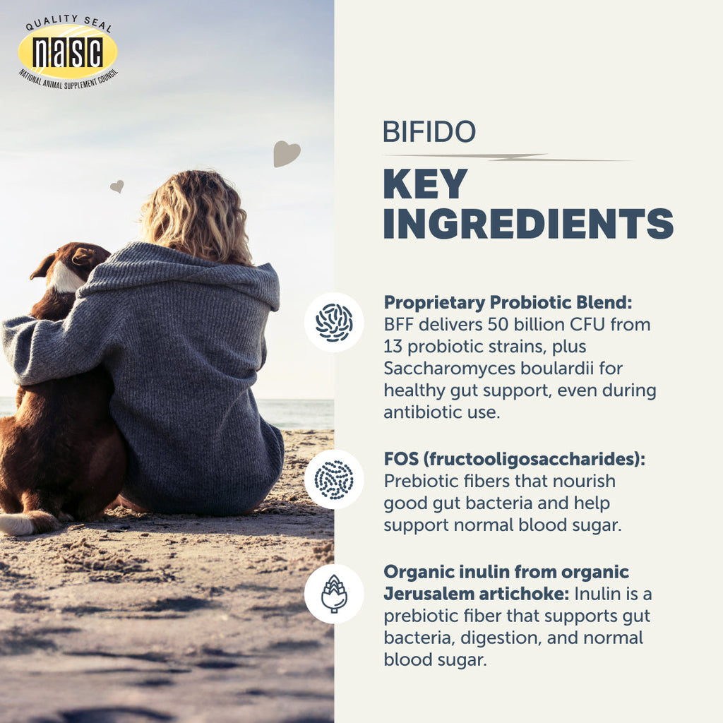 Dog Probiotic Supplement product image 7