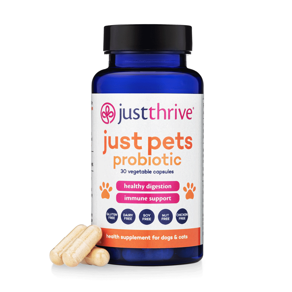 Pet Probiotic Supplement product image 1