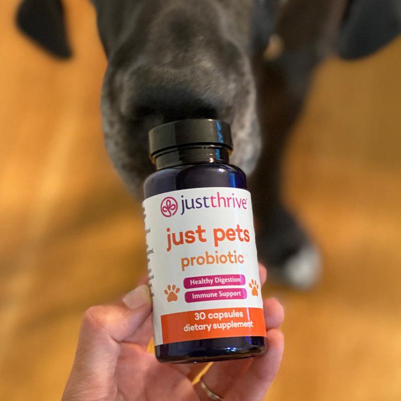 Pet Probiotic Supplement product image 6