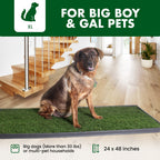 Dog standing on a grass-like mat in a home setting with text indicating size and suitability for pets.