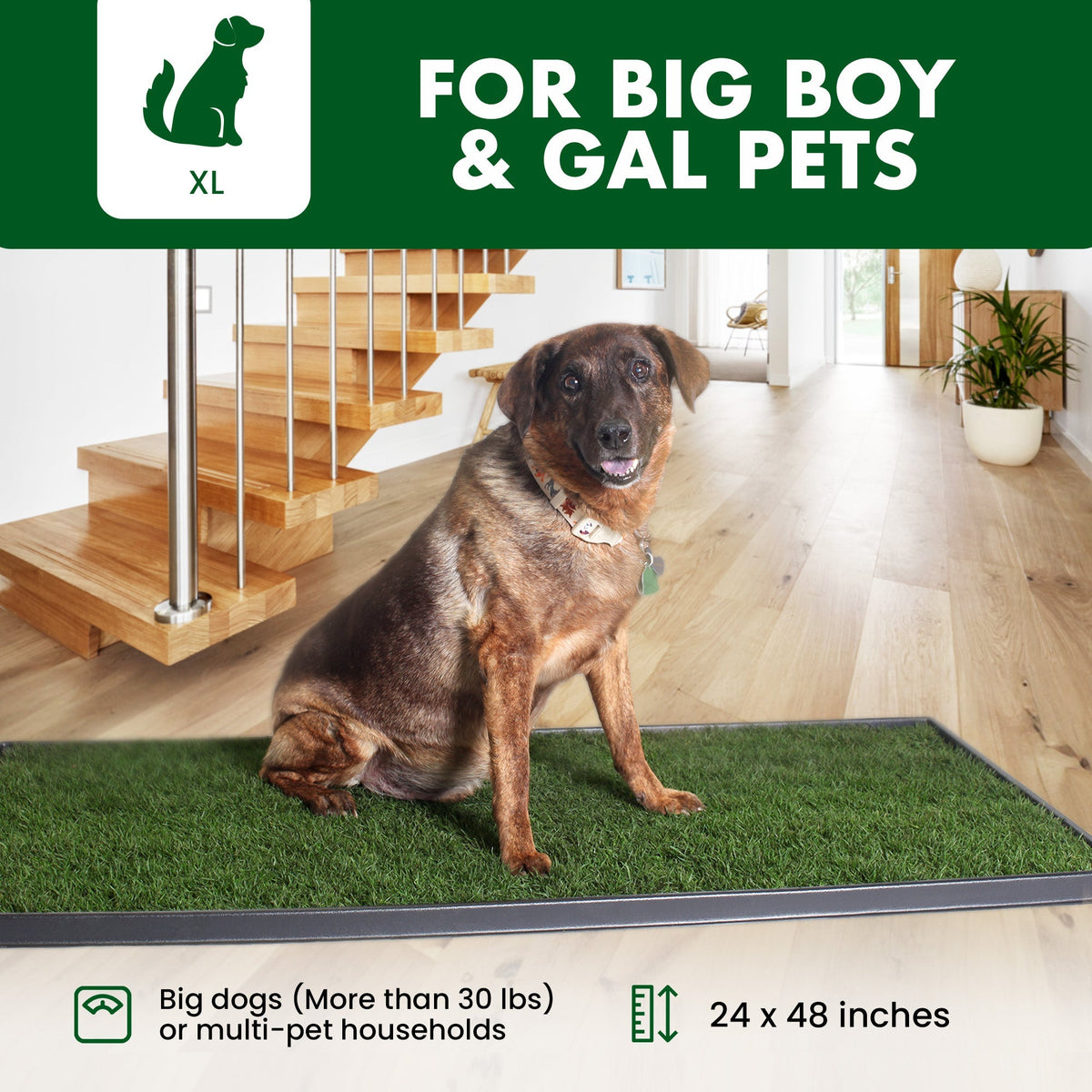 Dog standing on a grass-like mat in a home setting with text indicating size and suitability for pets.