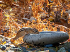 River Stone Bird Bath product image 2