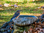 River Stone Bird Bath product image 3