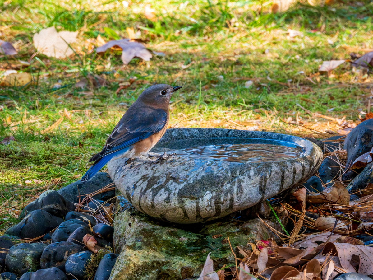 River Stone Bird Bath product image 3