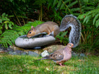 River Stone Bird Bath product image 4