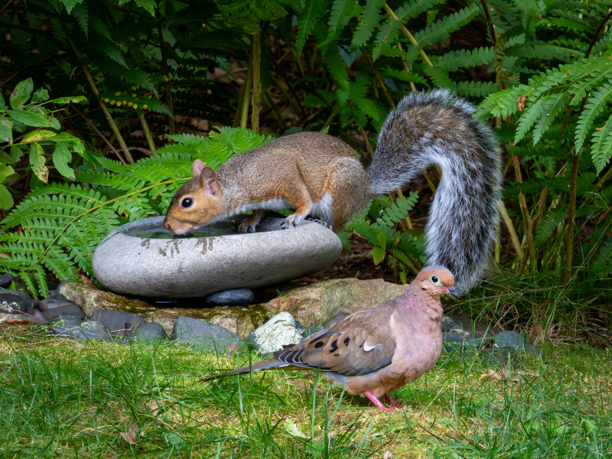 River Stone Bird Bath product image 4