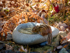River Stone Bird Bath product image 5
