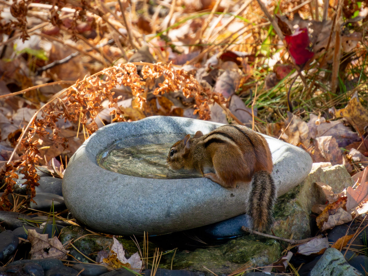 River Stone Bird Bath product image 5